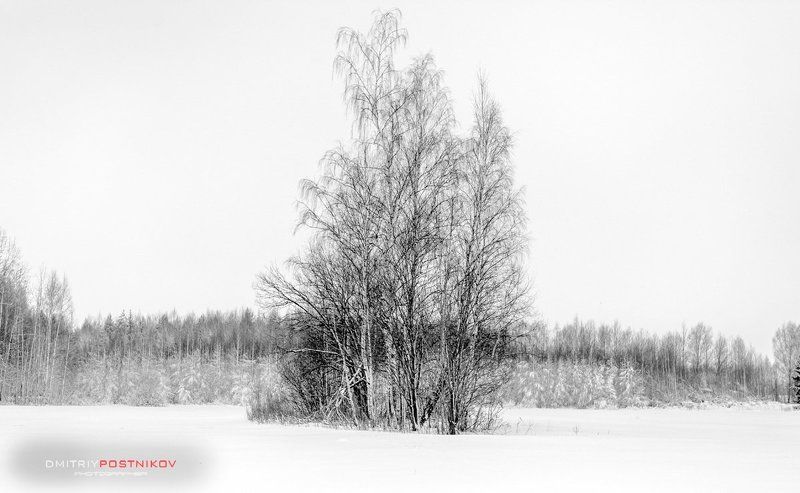 Зима, Пейзаж, Природа, Снег, Черно-белое Минимализма пост.photo preview