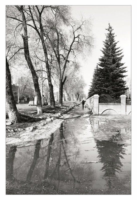 весна, март, черно-белое Черно-белая весна. Март.photo preview