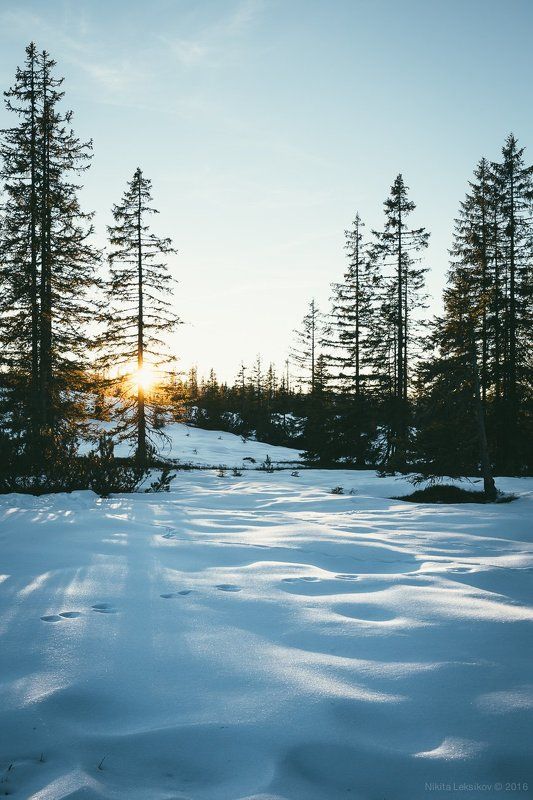Австрия, горы, Альпы, закат, зима, снег photo preview