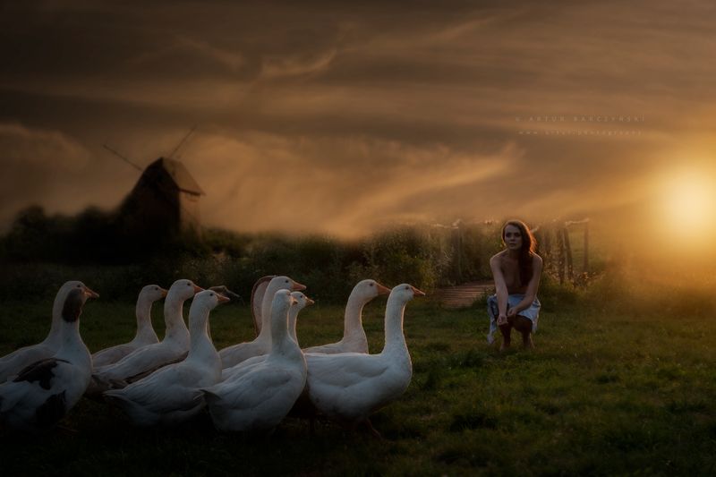 Taś taśphoto preview