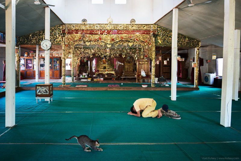 мьянма, бирма, кот, буддизм, монах, монахи, молитва, храм, молящие, ньоншуэ, temple, myanmar, burma, pray, prayers. Время молитвыphoto preview