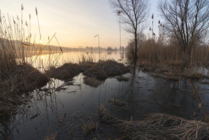 Солнечный март...photo preview