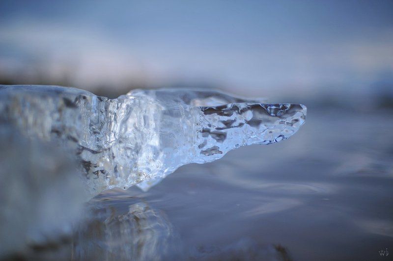 лёд, весна Крокодилphoto preview