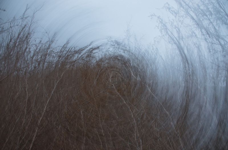 марь, сумерки, круг, заросли, осень Природный гипнозphoto preview