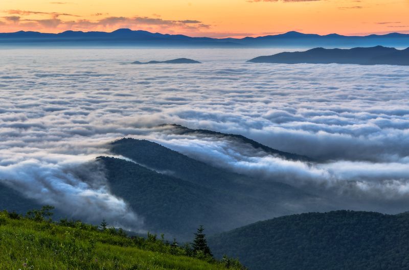 Приморье, Приморский край, Облака, рассвет, туман Море облаковphoto preview