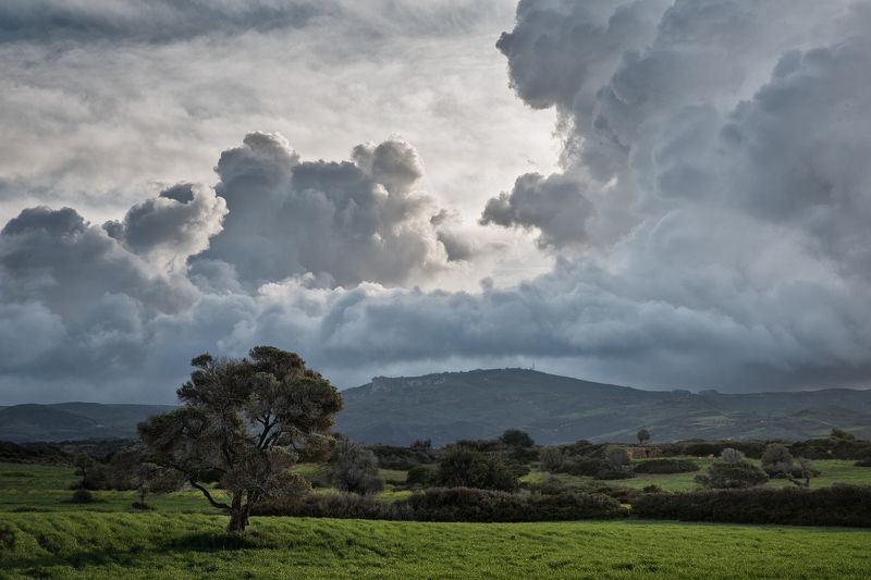Немного сказкиphoto preview