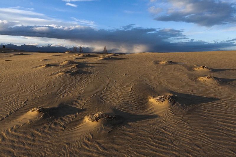 а дождик мимо прошёл ...photo preview