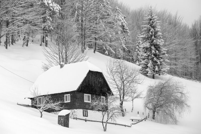 winter,house,trees,white,snow,landscape,nature, Say goodbye to winterphoto preview