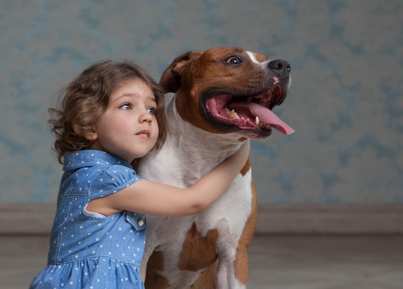 Маша и Бонифацийphoto preview