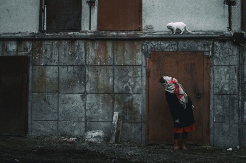 девушка, кот, улица Девушка и котphoto preview