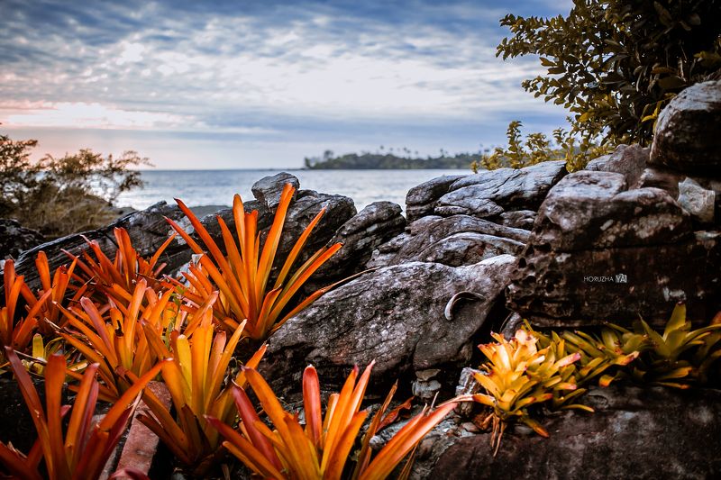 Instagram: horuzhaya.officialphoto preview