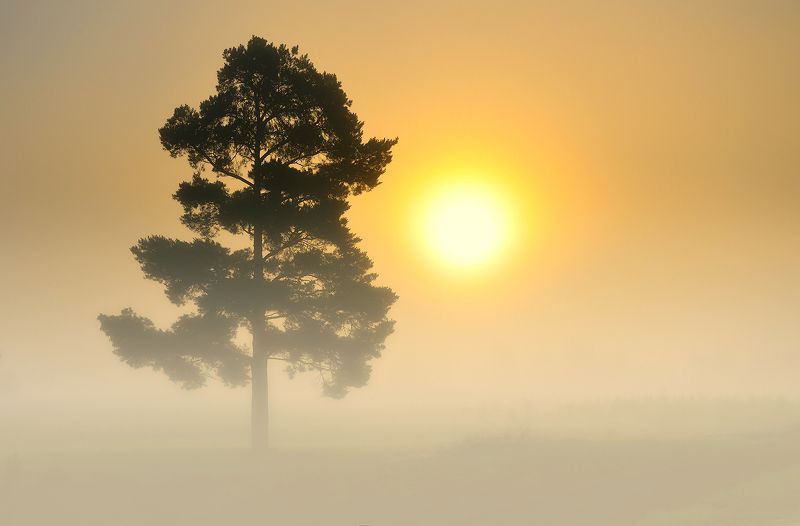 #пейзажы #рассвет #лето #путешествия #фотографкиев #morning #sea ***photo preview