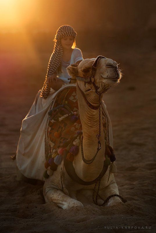 sun Africaphoto preview