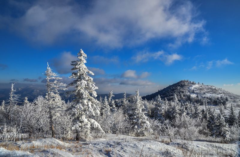 Приморье, Приморский край, зима, снег, горы Холодная сказкаphoto preview