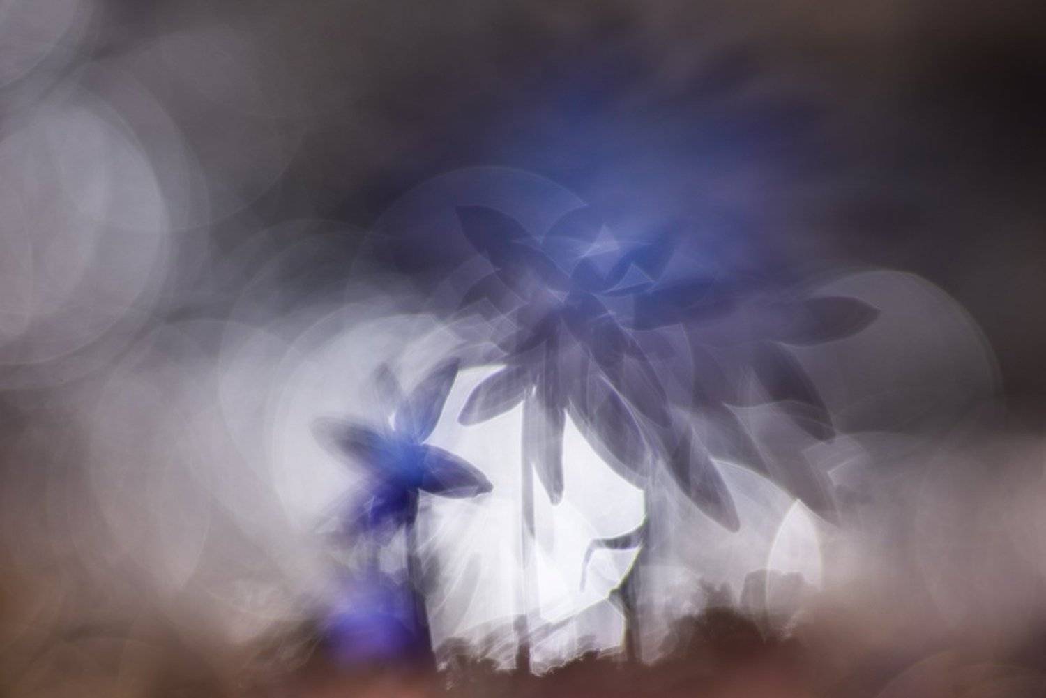 , Андрей Степанов