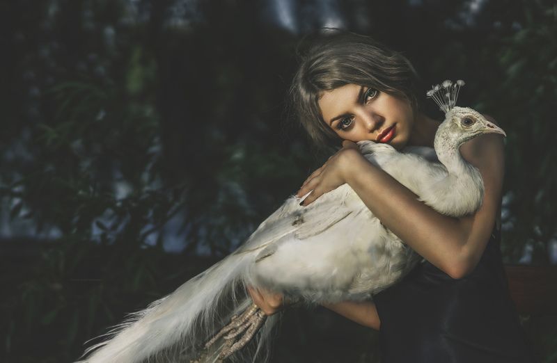 white peacock, girl, nature In their worldphoto preview