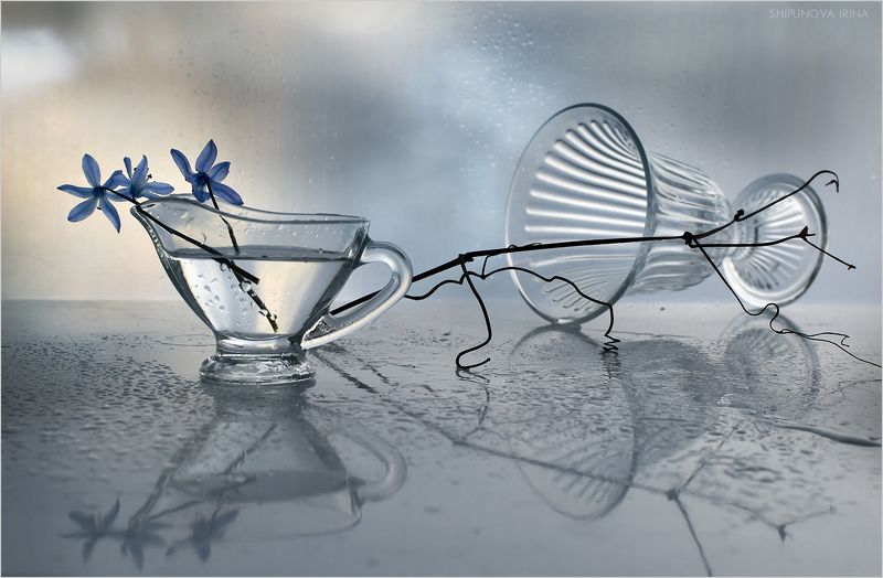 Пролески 3photo preview