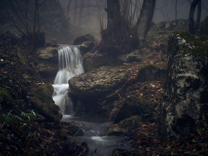 Крым, Ялта, Краснокаменка, Лес, Река, Ручей, Водопад, Каскад, Пейзаж, Поток, Вода, Туман, Горы, Камни, Ландшафт, Crimea, Russia, River, Water, Forest, Fog, Spring, Landscape, Cascade, Yalta, Krasnokamenka Крымский лесphoto preview