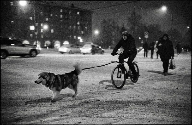 life ***photo preview