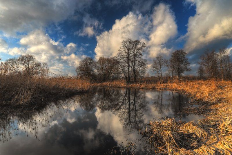 весна,небо Весна..photo preview