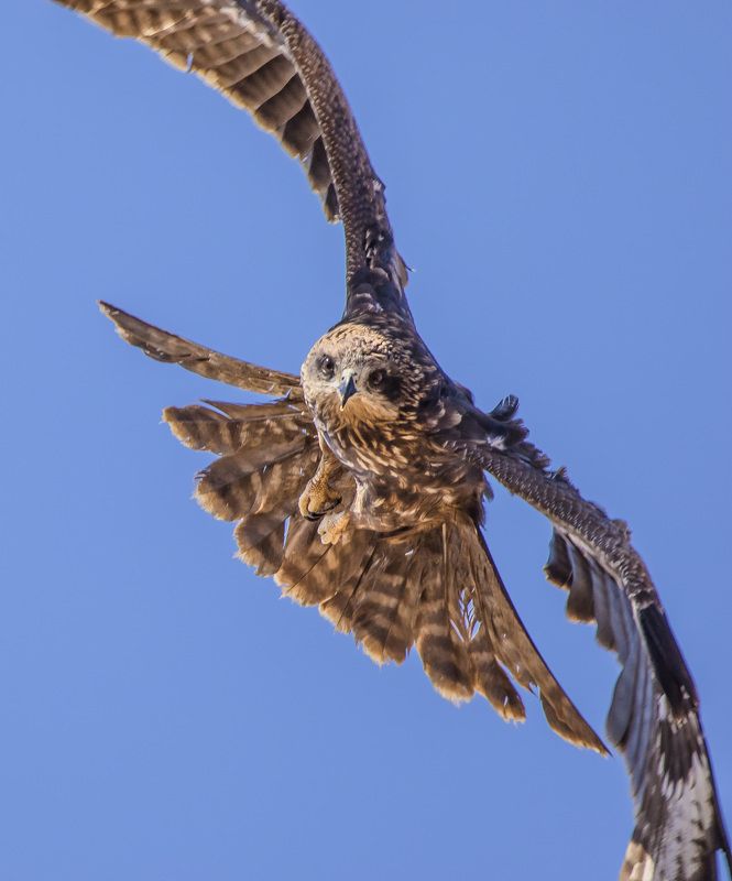 ну что будем знакомиться???photo preview