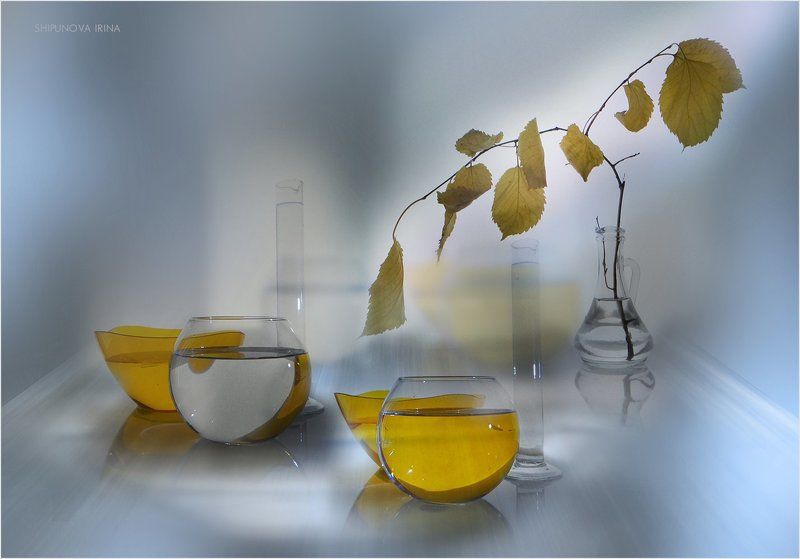 Прозрачная осень 6photo preview