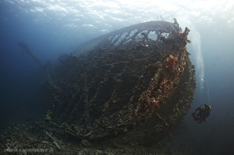 wreck, underwater, umbria, sudan Umbria. Корма.photo preview