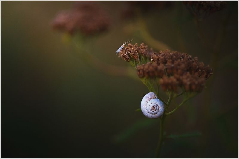 Вечернее. Август СКФО.photo preview