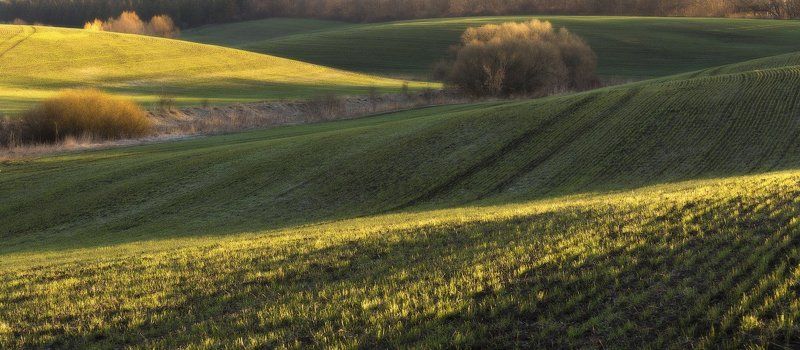 Мартовские линии...photo preview