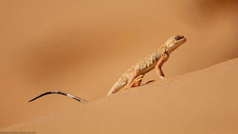 Горячо!photo preview