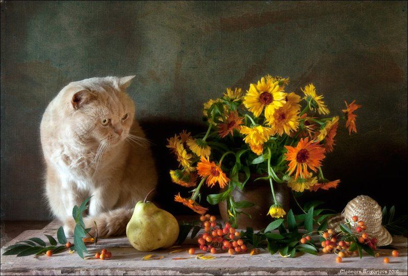 Предчувствие осениphoto preview