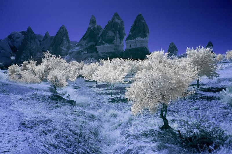 ir,infrared,cappadocia,landscape,tree,пейзаж,каппадокия,инфракрасный, фильтр, IRreal world. Cappadocia.photo preview