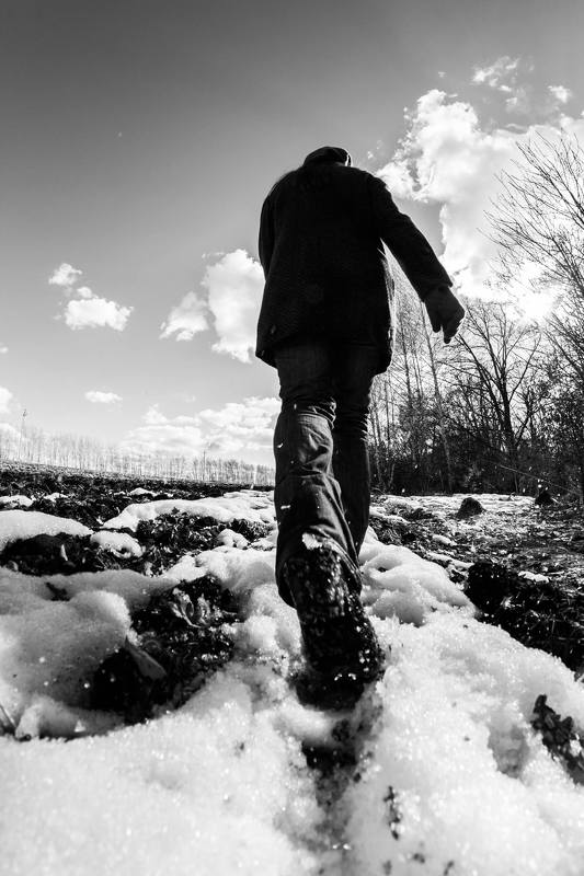 тульская область (26 марта 2017) Весне дорогу!photo preview