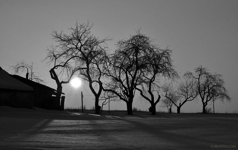 хутор,деревня,чернобелое,сад,зима,farm,village,black and white,garden,winter Хуторокphoto preview