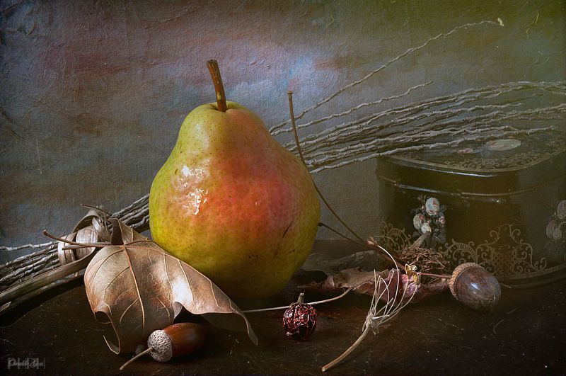 Pera de otoñophoto preview