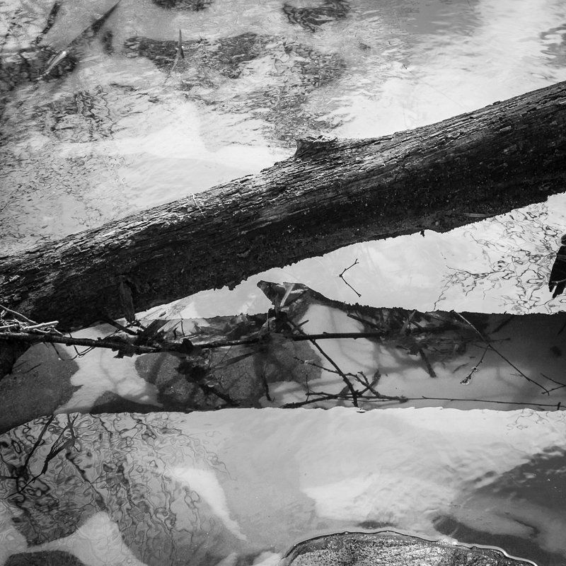 фото, отражение, весна, чб, вода, линии Rusaliphoto preview