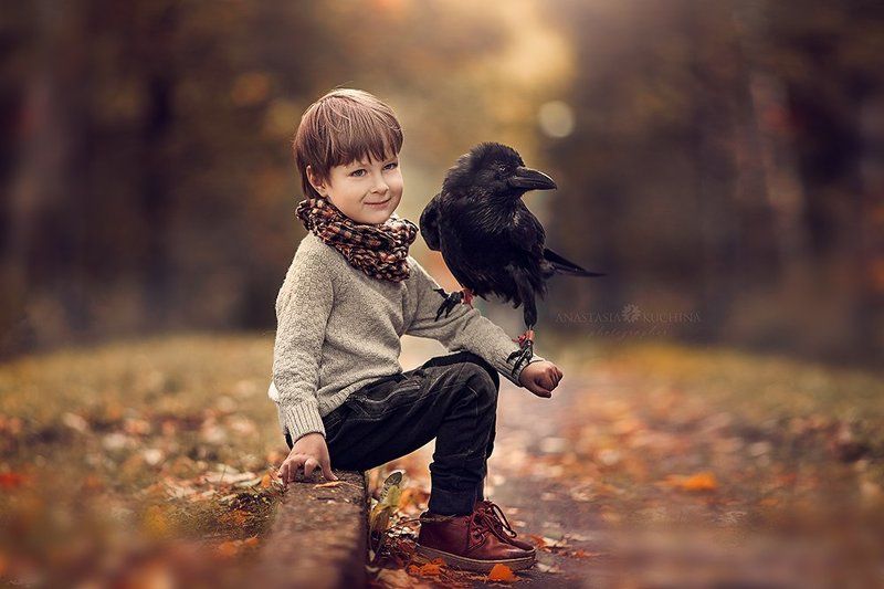 Мальчик, ребёнок, осень, ворон Мальчик и его воронphoto preview