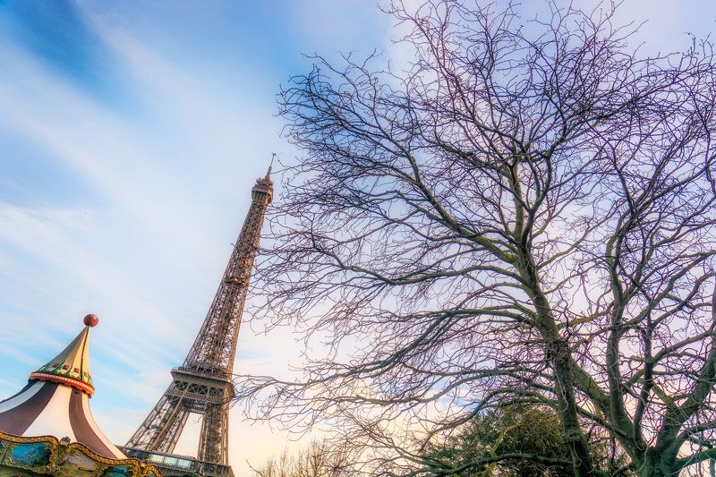 paris, trees, carousel, winter Еще раз о нем ...photo preview