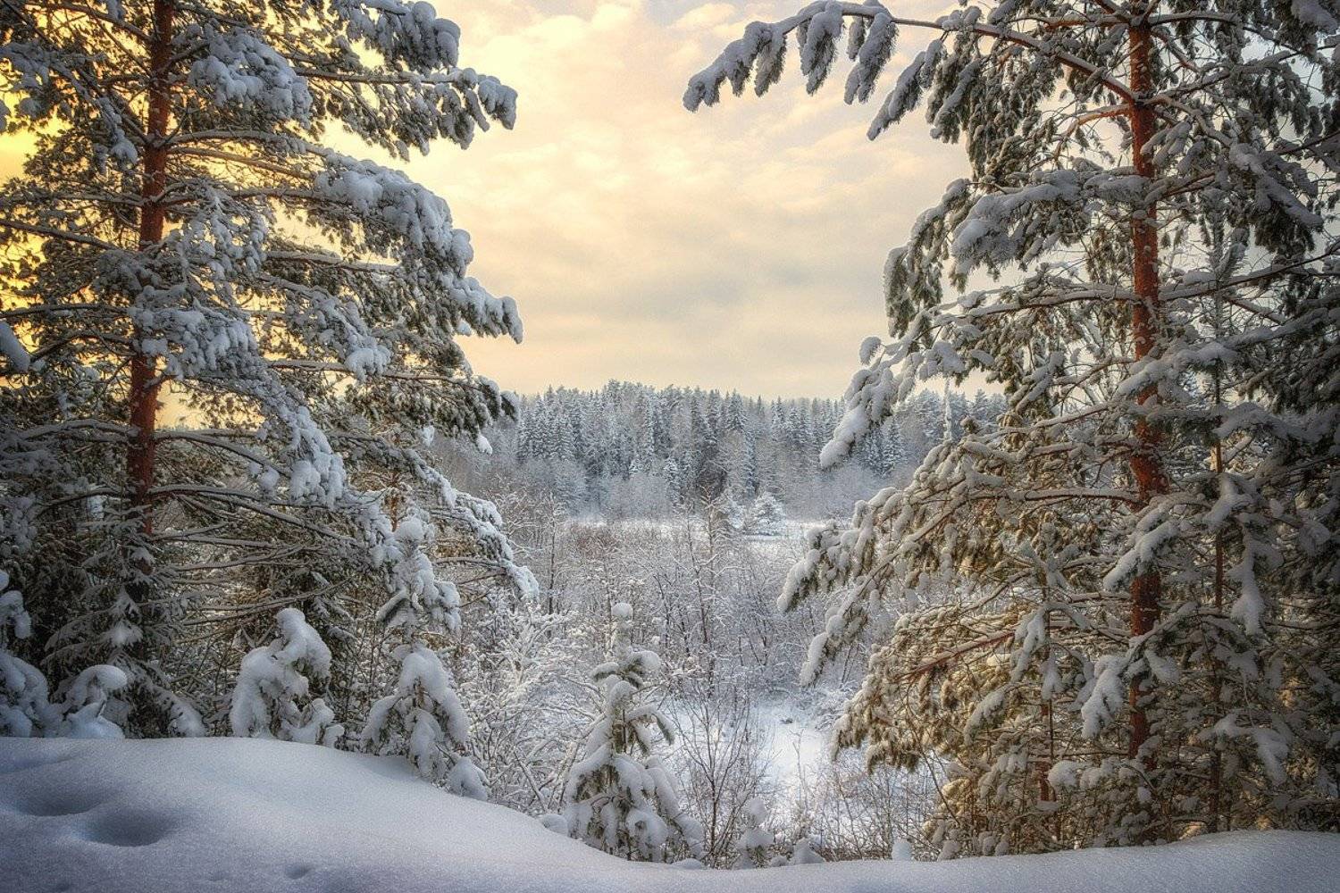 снег, лес, зима, закат, сугробы, небо, облака, деревья, Пушкарев Николай