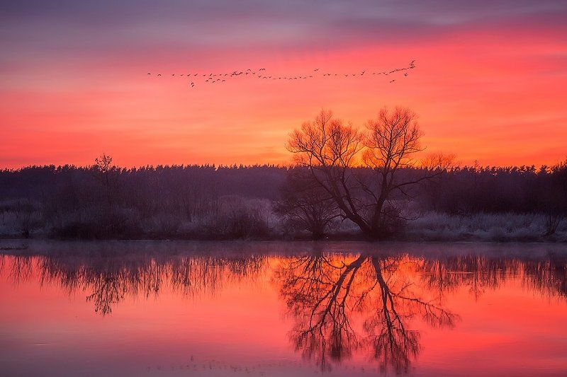 Весна - красна.photo preview