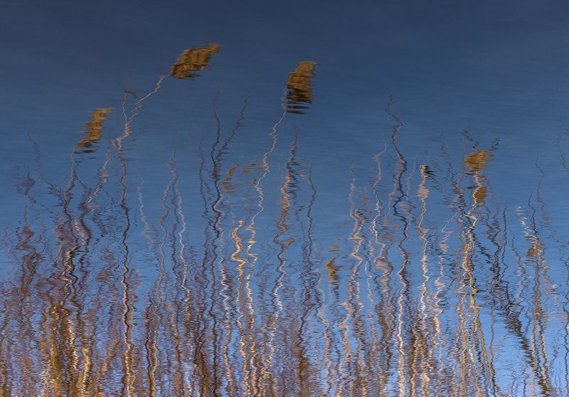 Отражениеphoto preview