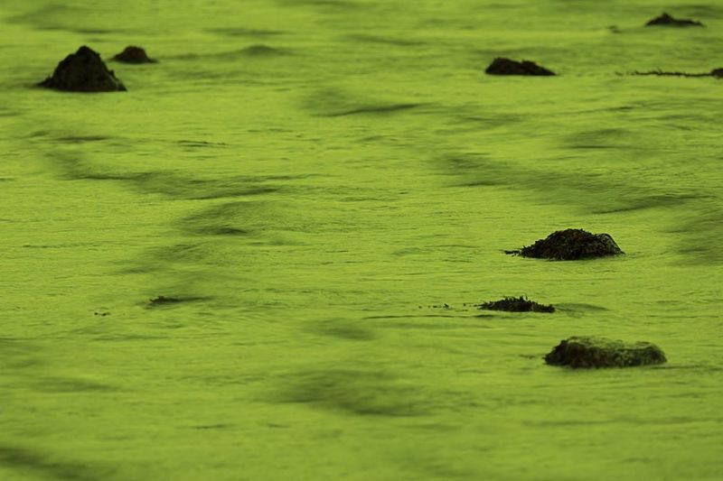 Композиция №12photo preview