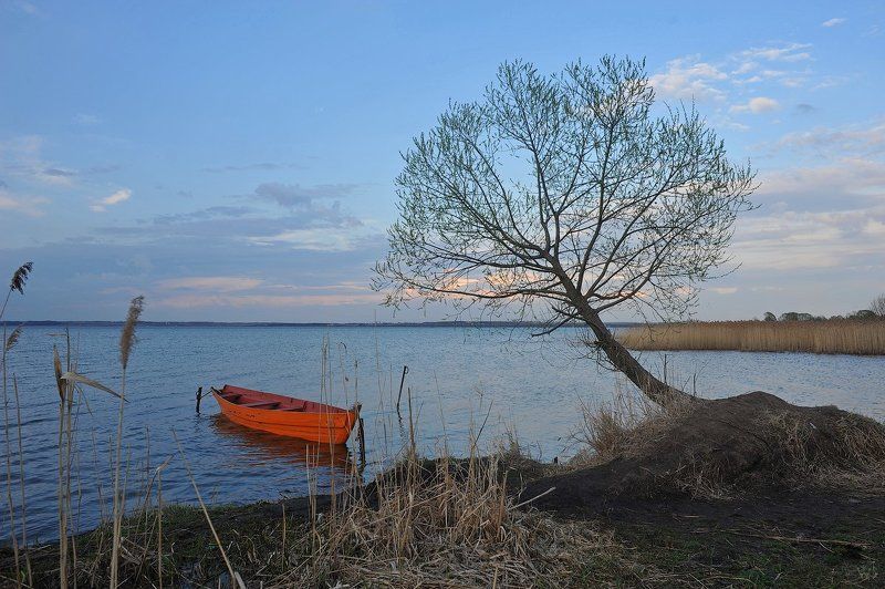 Плещеевоphoto preview