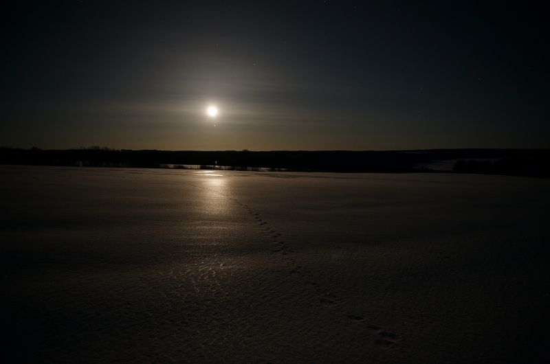 лунная дорожкаphoto preview