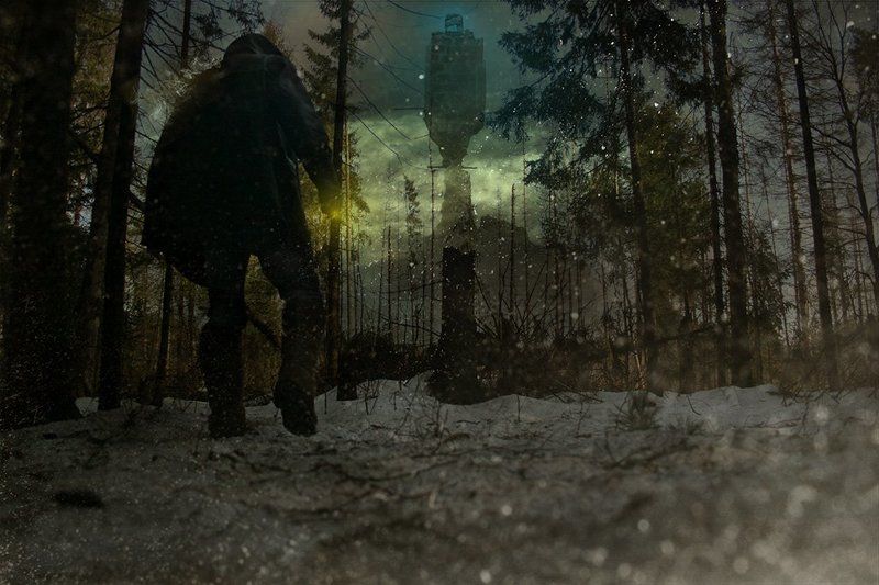 лес К той самой Башне...photo preview