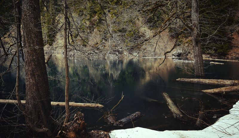 R e v e n a n tphoto preview