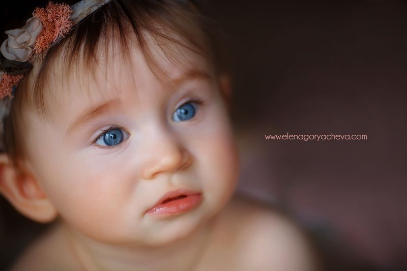 варяphoto preview