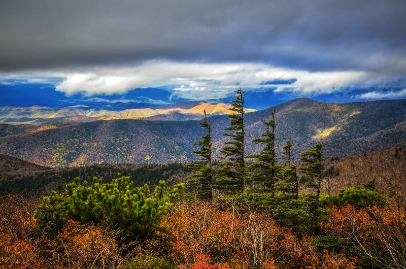 Горы, елки, приморье, Приморский край Стражникиphoto preview