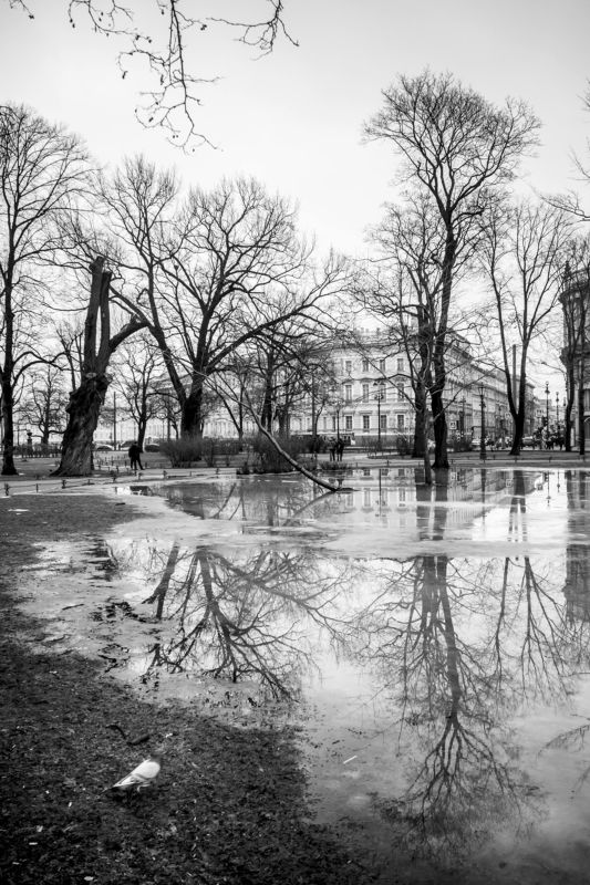 Лужи Питера фото превью