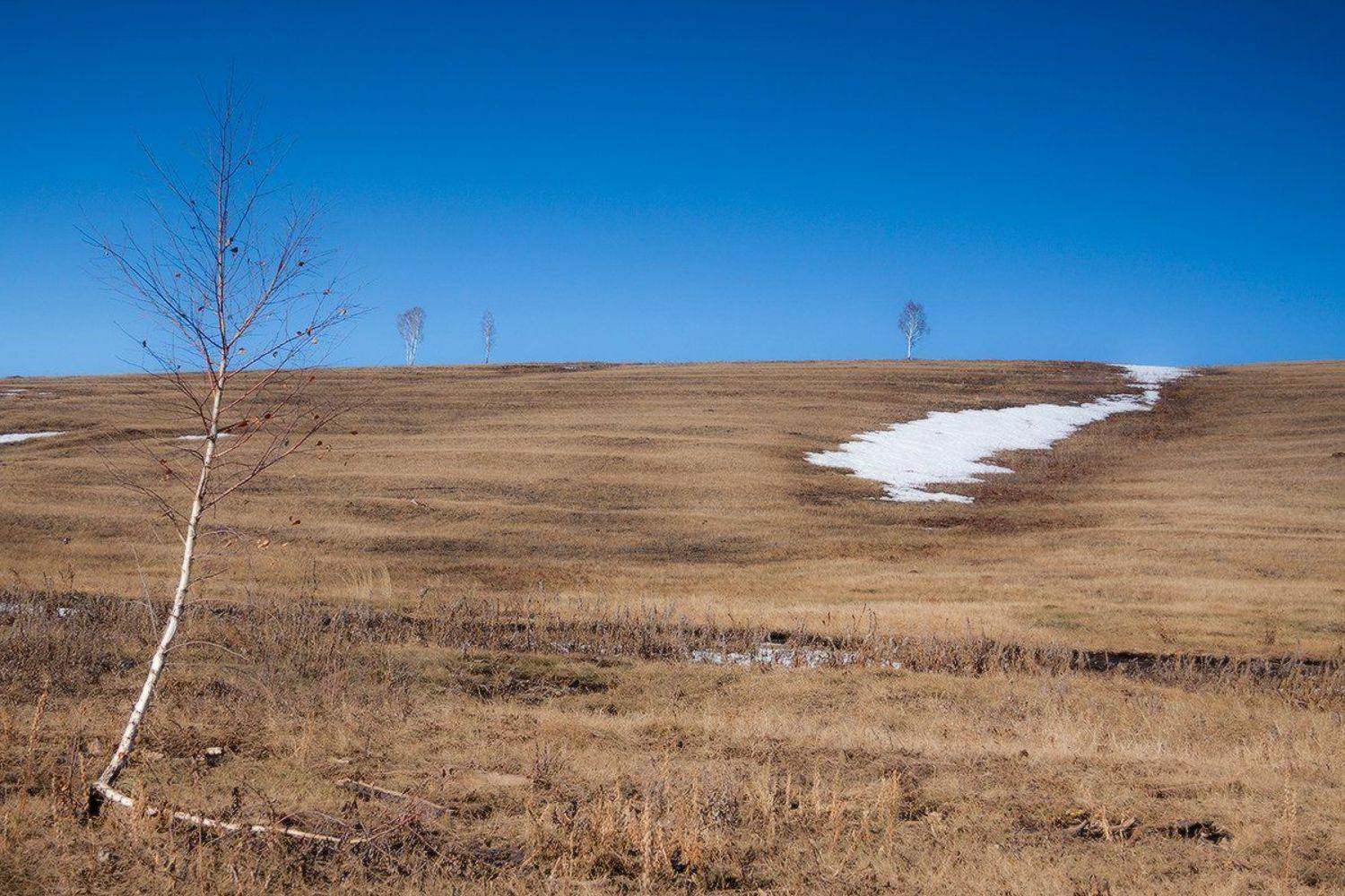 Весеннее***. Автор: Николай Морский , Николай Морский